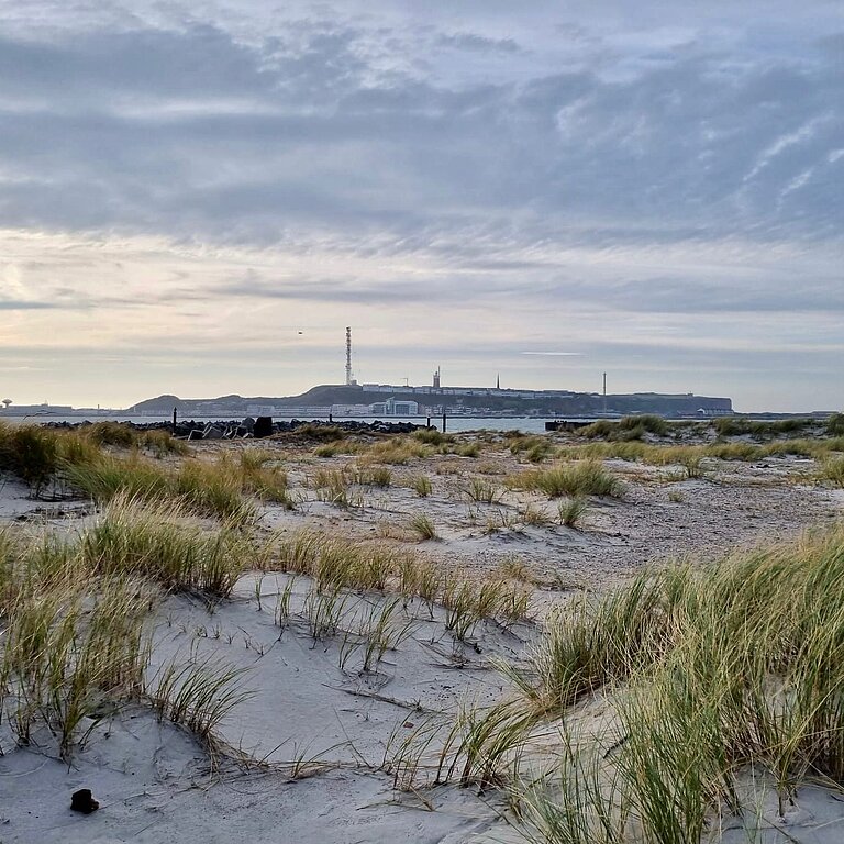 Foto von der vorgelagerten Insel Düne mit Sand und Gras im Vordergrund auf Helgoland im Hintergrund 
